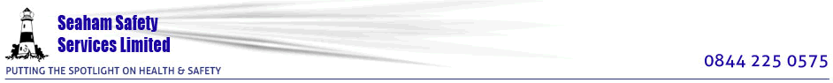 ss_logowide1