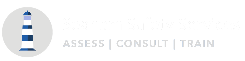 seaham safety services logo