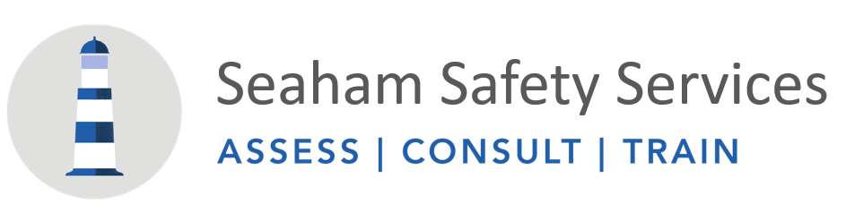 seaham safety services logo